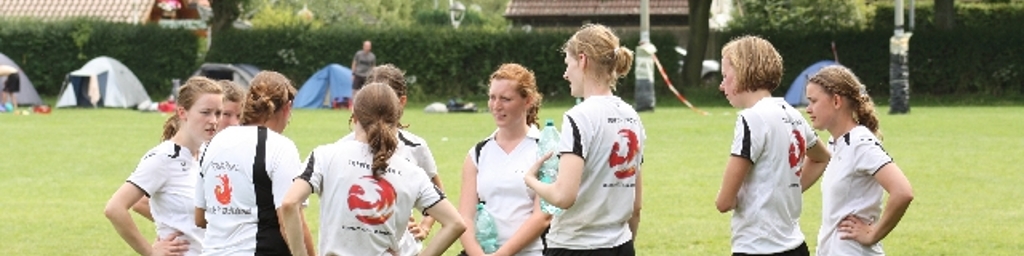 Torpedo Phenix banner